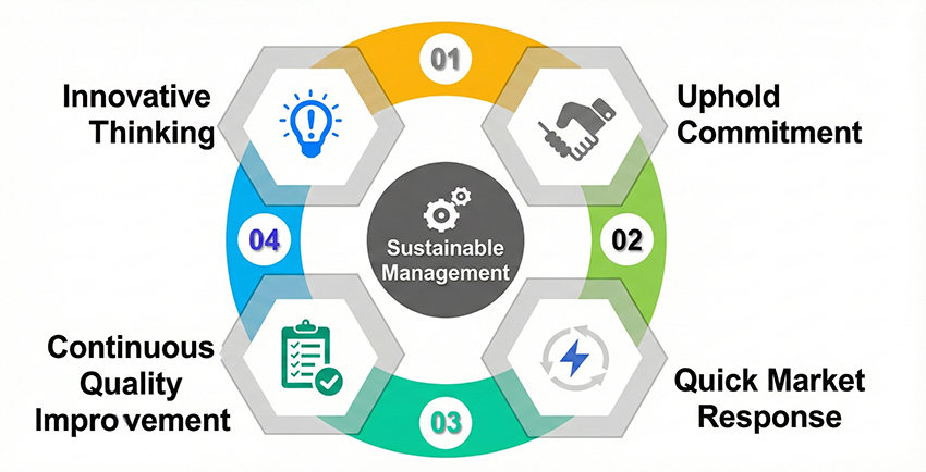 SiS Core Values and Vision